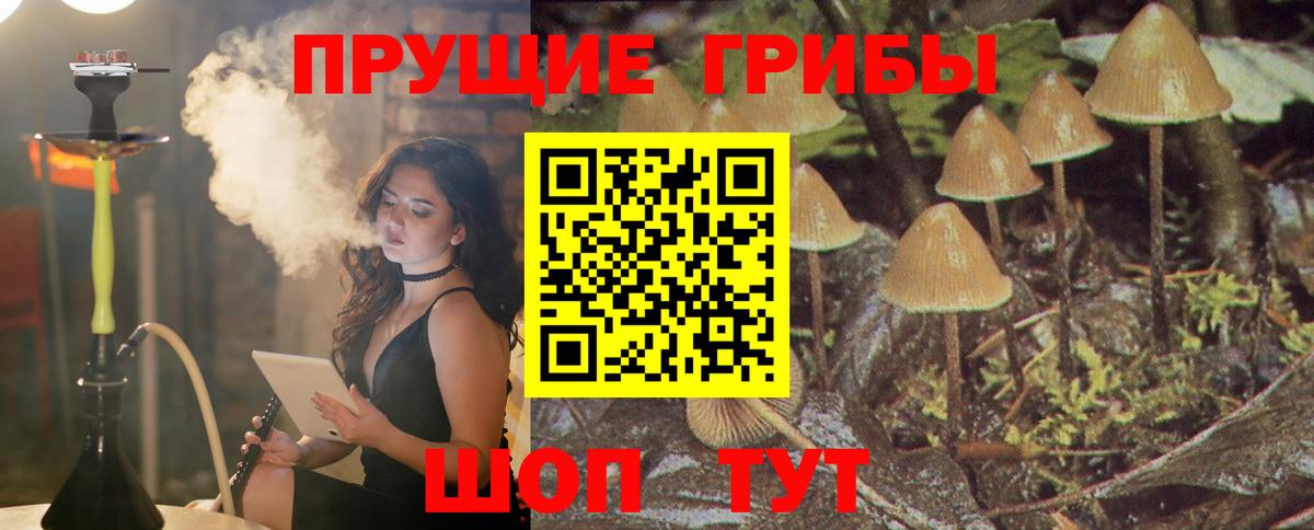 Галлюциногенные грибы Magic Shrooms  Вход с VPN  Псилоцибиновые грибы Magic Shrooms  Нижневартовск 